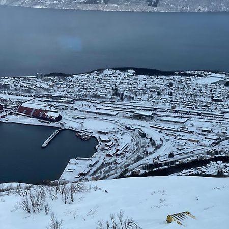 Narvik Sentrum Leilighet Eksteriør bilde